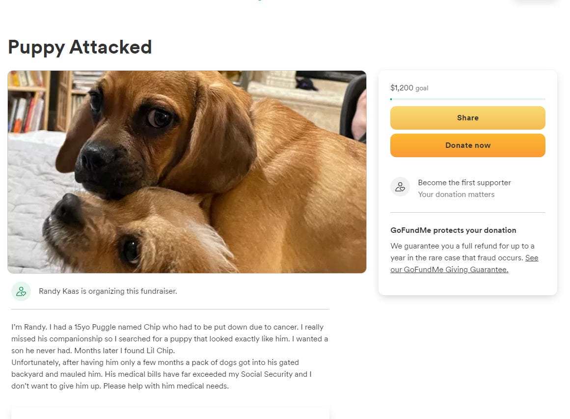 Puppy Attacked 
Randy Kaas is organizing this fundraiser. 
$1,200 goal 
o 
Share 
Donate now 
Become the first supporter 
Your donation matters 
A. 
GoFundMe protects your donation 
We guarantee you a full refund for up to a 
year in the rare case that fraud occurs. See 
our GoFundMe Giving Guarantee. 
I'm Randy. I had a 15yo Puggle named Chip who had to be put down due to cancer. I really 
missed his companionship so I searched for a puppy that looked exactly like him. I wanted a 
son he never had. Months later I found Lil Chip. 
Unfortunately, after having him only a few months a pack of dogs got into his gated 
backyard and mauled him. His medical bills have far exceeded my Social Security and I 
don't want to give him up. Please help with him medical needs. 