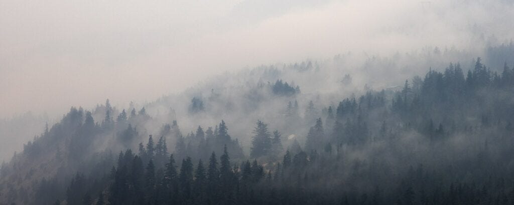 Valley covered by smoke from Forest Wildfire