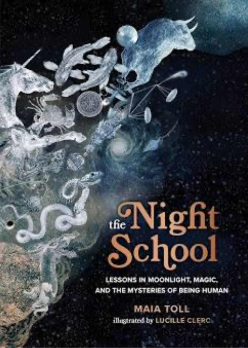Night School book cover