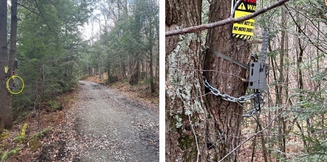 Game camera mounted on a tree and pointed toward the public right-of-way.