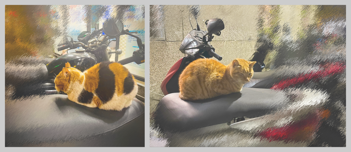Two panels, each with a cat perched on top of a motorcycle seat. The cat on the left is a calico, the cat on the right is a ginger cat.