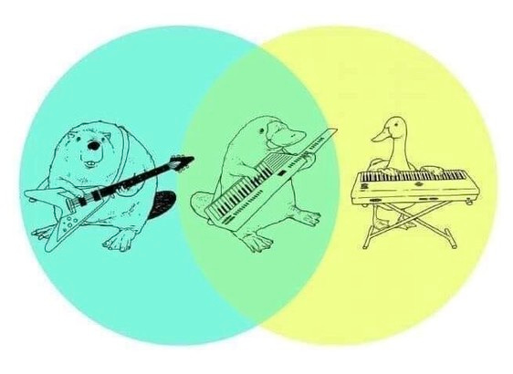 A Venn diagram of a beaver playing a guitar and a duck playing a keyboard. In the middle is a platypus playing a keytar.