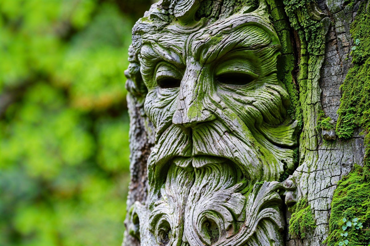 Green man carved into the trunk of a tree