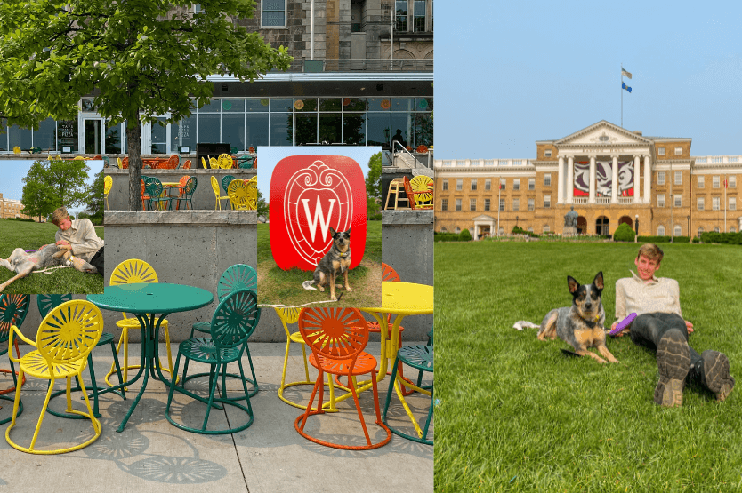 A small photo collage of Scout the blue heeler on Bascom Hill in Madison