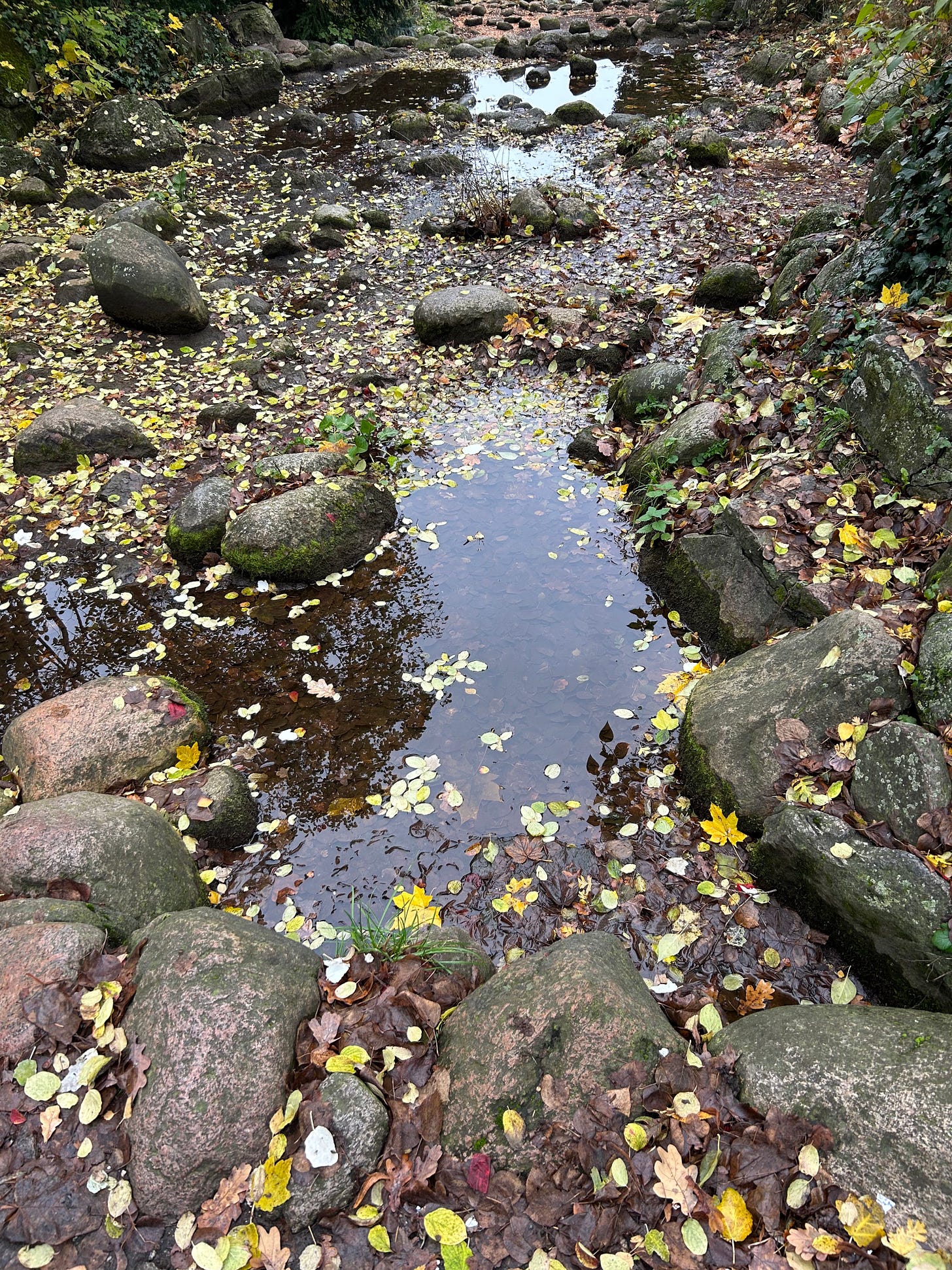 a picture of a reflective puddle among rocks with yellow autumn leaves both around and in it