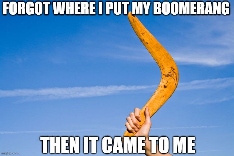 boomerang Memes - Imgflip