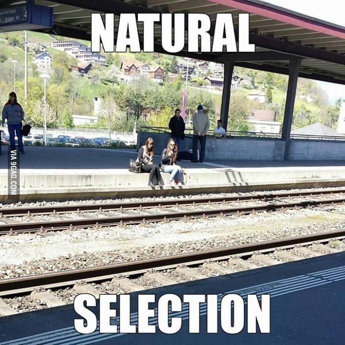 Natural selection - Meme | Funny pictures, Natural selection, Dump a day