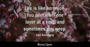 Onion Quotes - BrainyQuote