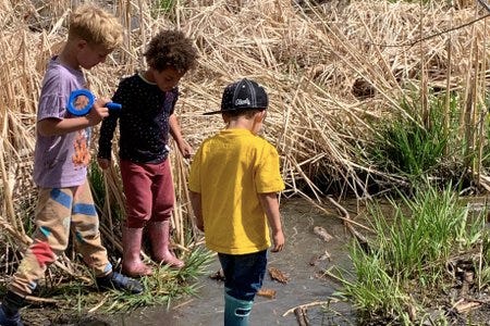 Trois enfants à la découverte de la nature dans le Colorado