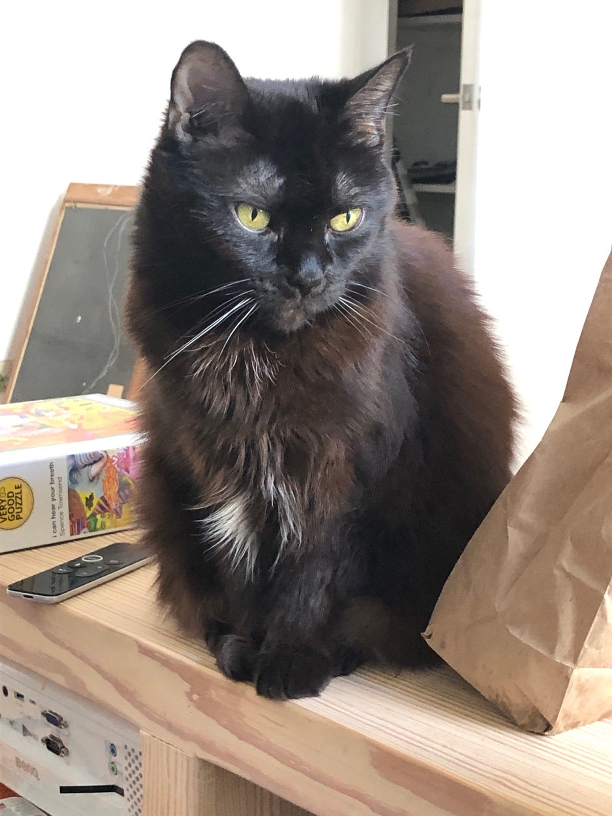 A black cat with piercing green eyes and a little bit of white on her legs sits on top of a wooden surface, with a puzzle on one side, and a paper bag on the other.