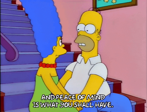 "And peace of mind is what you shall have." - Homer Simpson