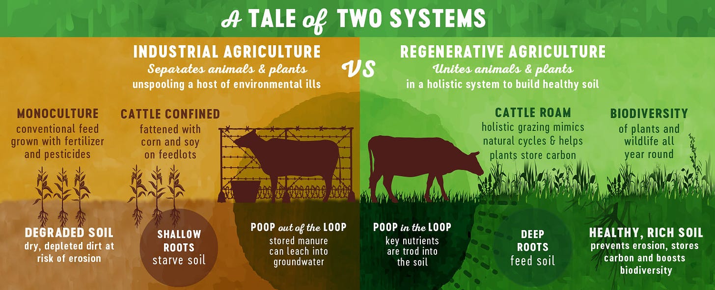 What is Regenerative Agriculture? – Applegate