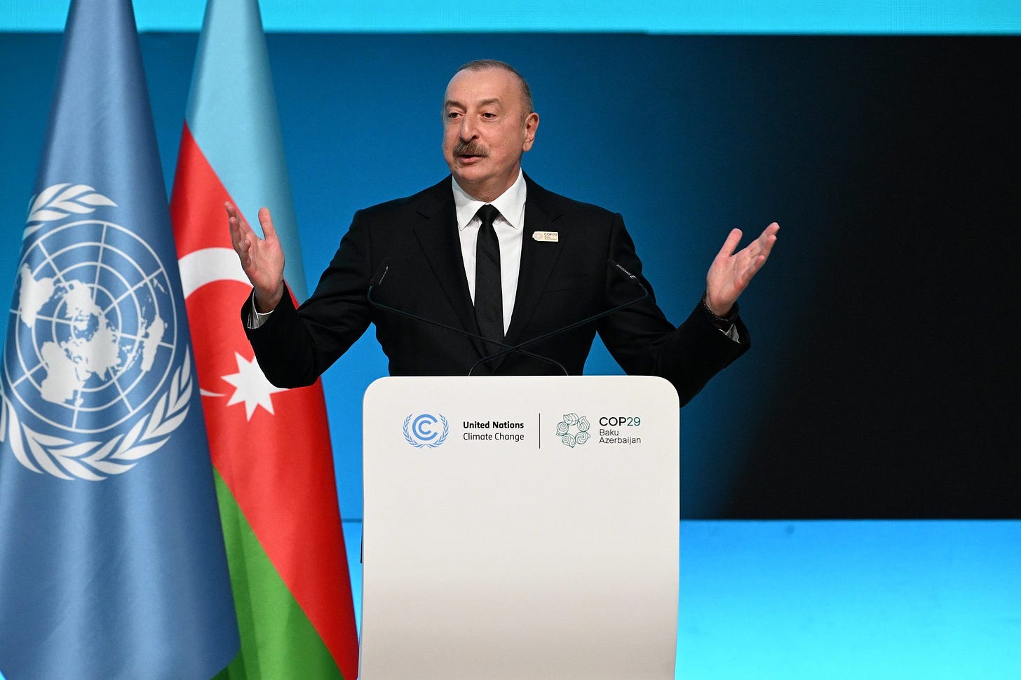 Cop29, tutto quello che c'è da sapere sulla Conferenza Onu sul clima a  Baku: programma e partecipanti