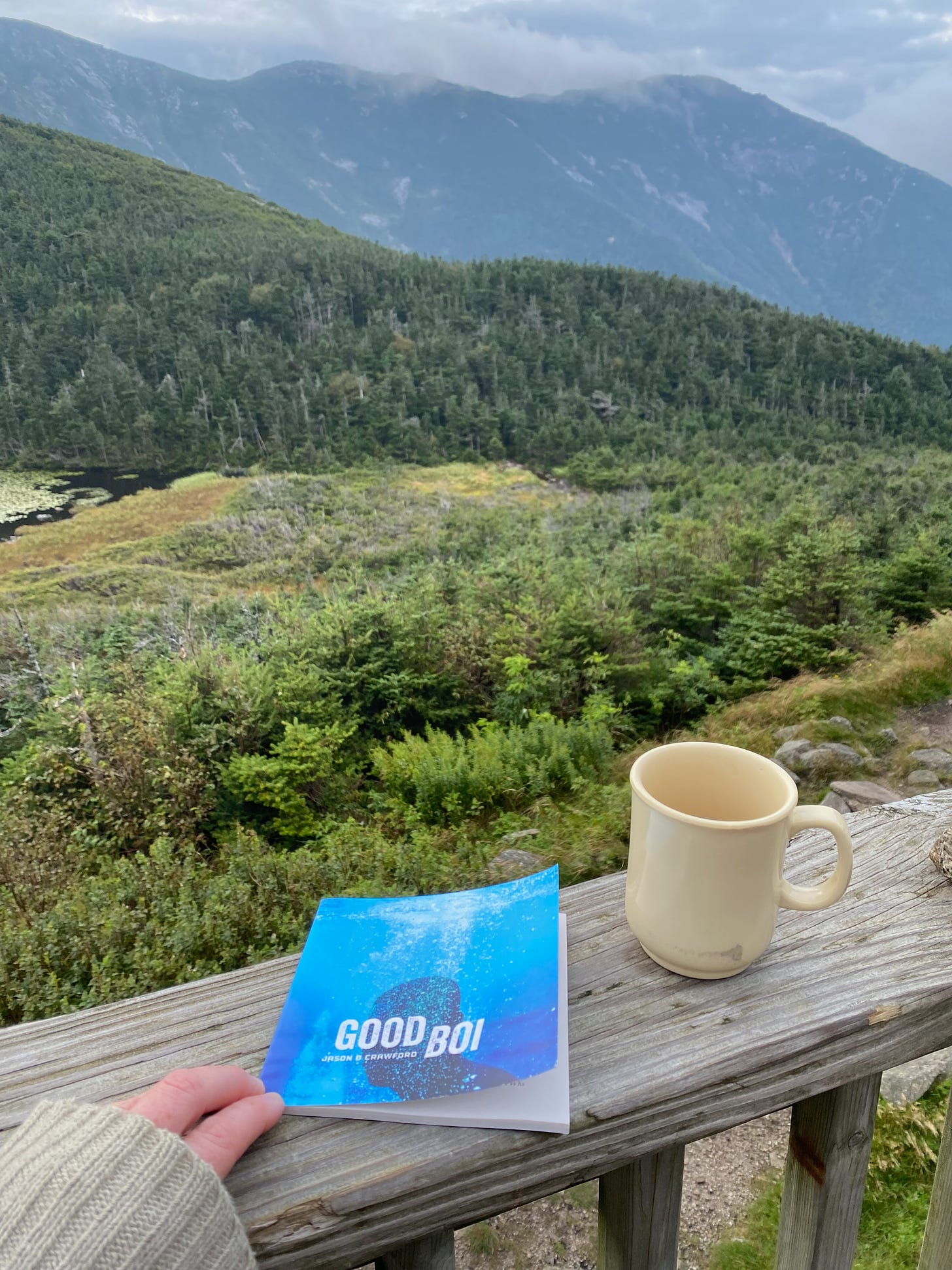 Good Boi sits on a porch railing next to a mug. There’s a view of evergreens on the shoulder of a mountain, and the Franconia Ridge swathed in clouds beyond it.