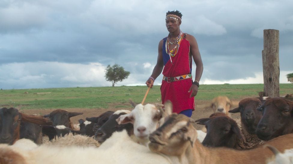 Richard Turere with his goats