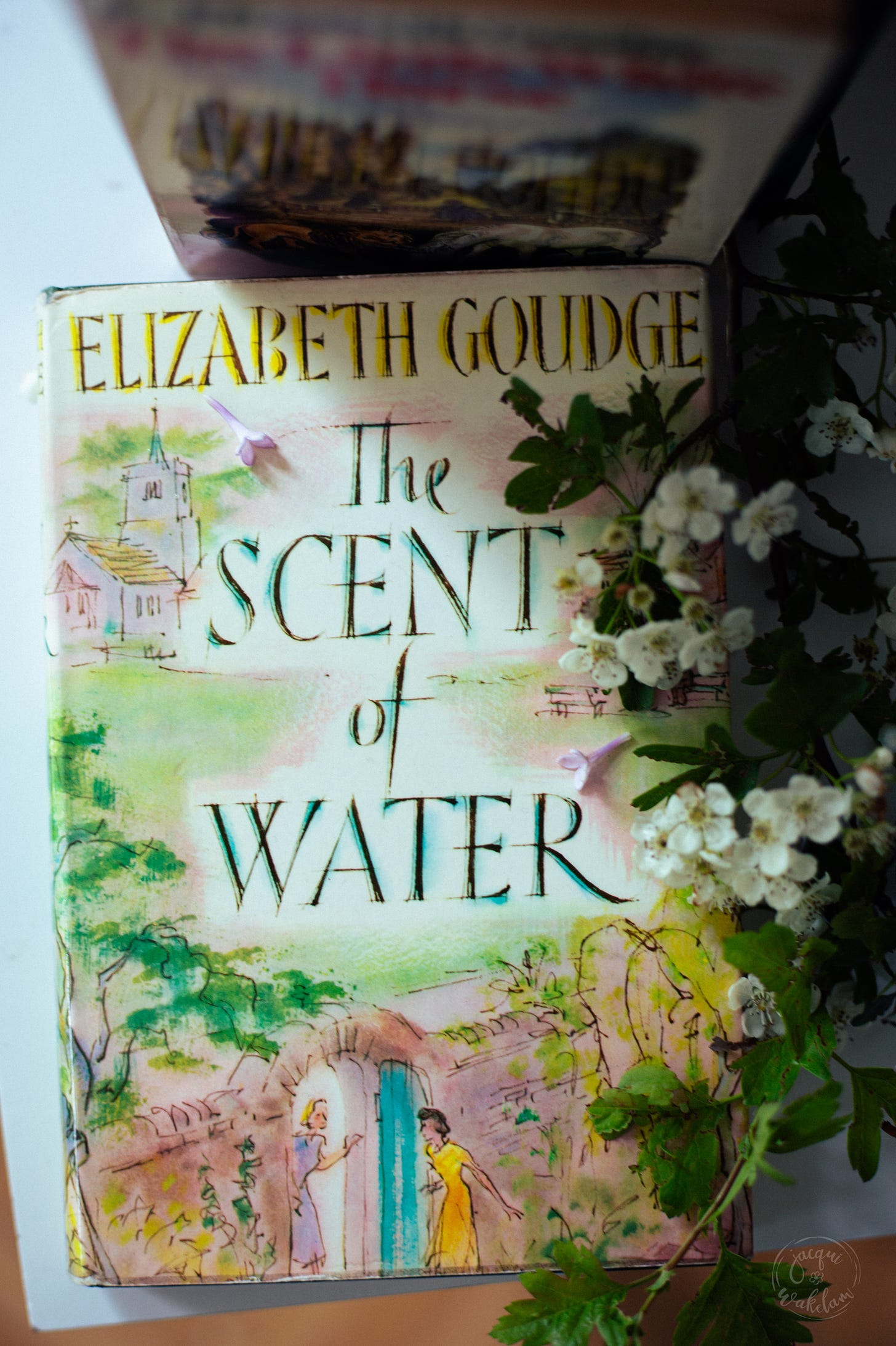 The Scent of Water edition of reader Jacqui Wakelam. Photo by Jacqui Wakelam