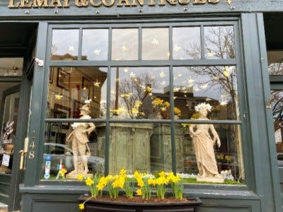 Newport in Bloom announces 2023 Daffodil Days Window Decorating Contest winners