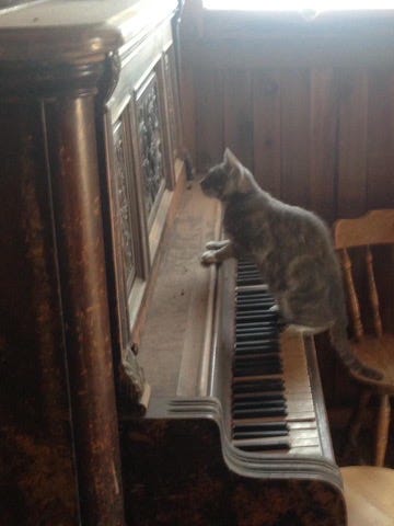 A cat perched atop an old western-style piano.