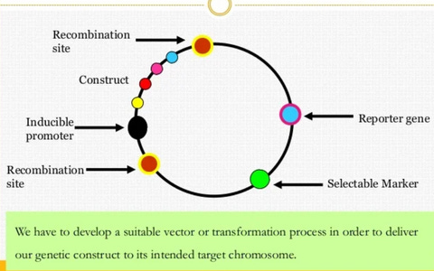 Introducing Synthetic Biology Horror in a New Light (Pt 1) Https%3A%2F%2Fsubstack-post-media.s3.amazonaws.com%2Fpublic%2Fimages%2F62a98ac6-5bcd-452a-b777-a40dda679893_480x300