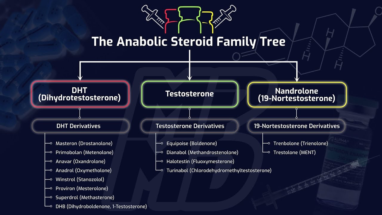 The Anabolic Steroid Family Tree - How Different Steroids Impact Muscle  Building & Performance