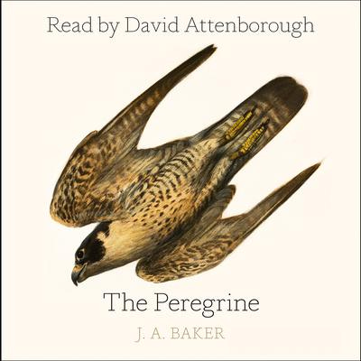 The Peregrine by J. A. Baker audiobook