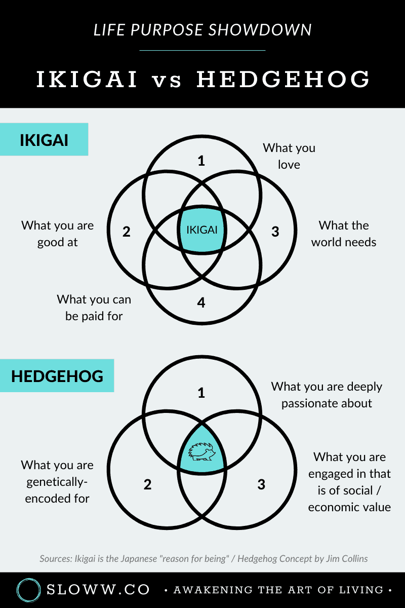 Sloww Hedgehog Concept vs Ikigai