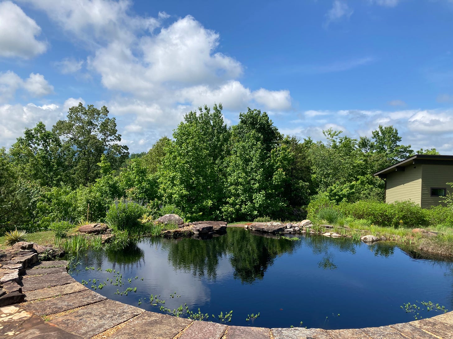 Picture of a blue sky with white clouds, green trees and a pond