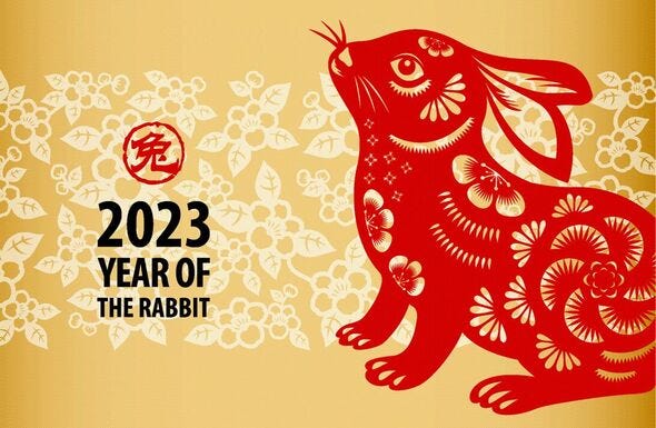 Year of the Rabbit: Chinese horoscope for the rabbit in 2023 - love,  wealth, career | Express.co.uk