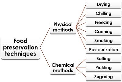 Food Preservation Techniques - Definition, Principle & Methods - Biology  Reader