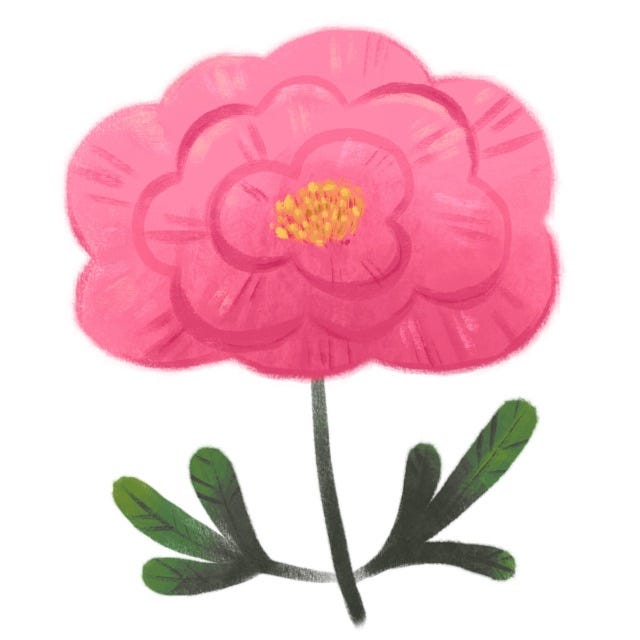 Hand drawn digital illustration of a stylized pink peony