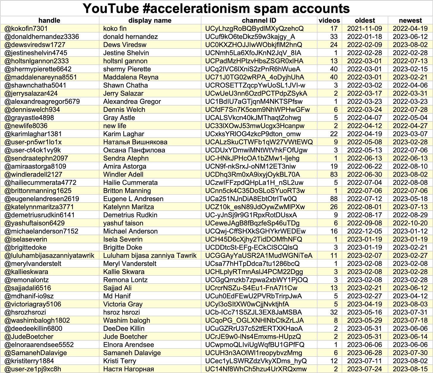 table of 43 YouTube #accelerationism spam accounts