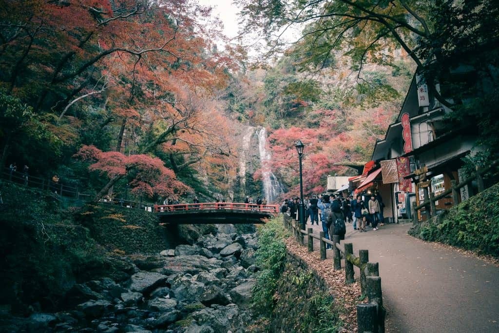 Osaka's Mount Mino - Autumn Foliage So Good You Can Taste It!