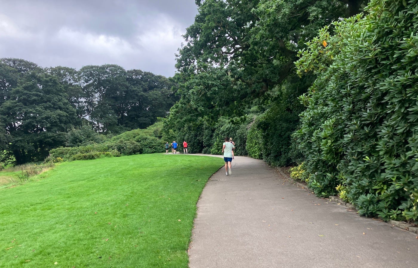 Tarmac path: mown grass on one side, shrubs and trees on the other