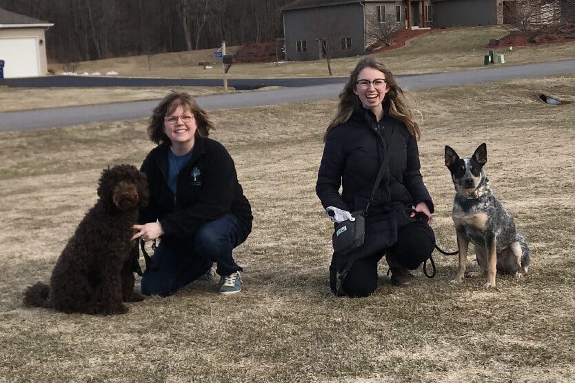 Scout the blue heeler sitting nearby Margo the Australian labradoodle, an exciting moment for a dog reactive dog