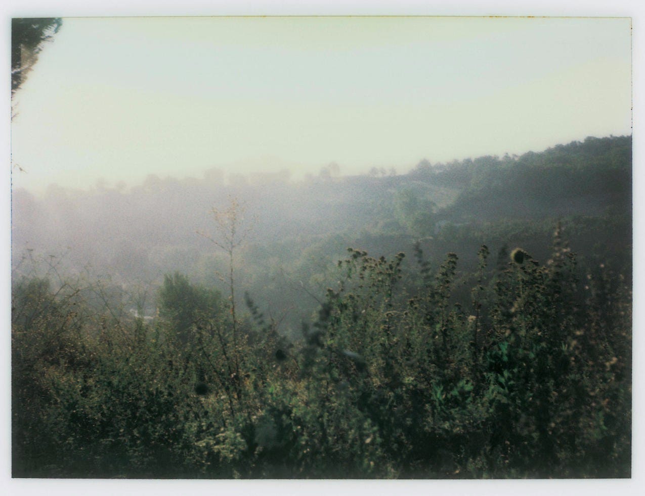 ANDREI TARKOVSKY POLAROIDS -2 - Flashbak