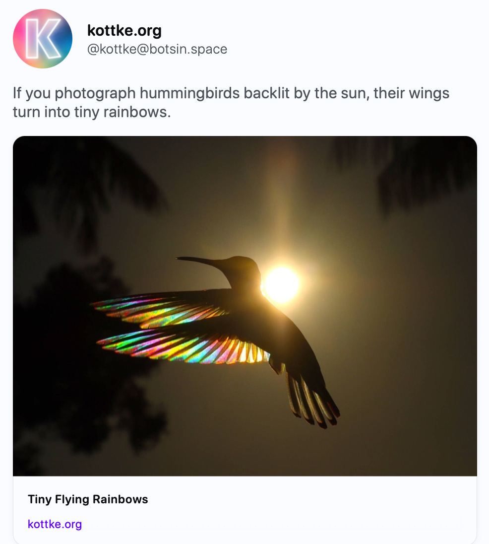 kottke.org @kottke@botsin.space If you photograph hummingbirds backlit by the sun, their wings turn into tiny rainbows. https://kottke.org/24/01/tiny-flying-rainbows   kottke.org Tiny Flying Rainbows It’s not like we need another reason why hummingbirds are so cool, but if you photograph them backlit by the sun, their