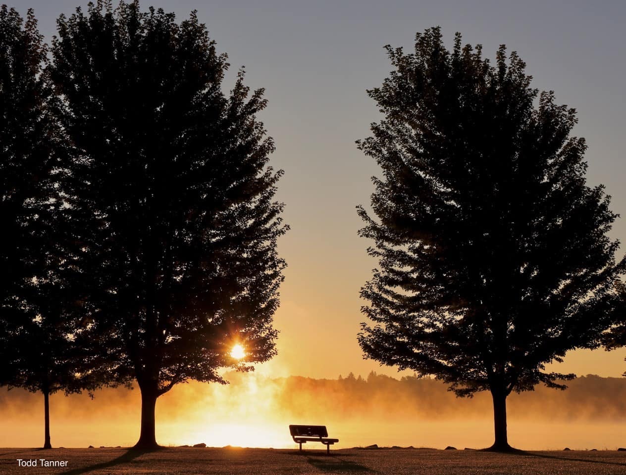 May be an image of tree, golf course, twilight, nature and fog May be an image of tree, golf course, twilight, nature and fog