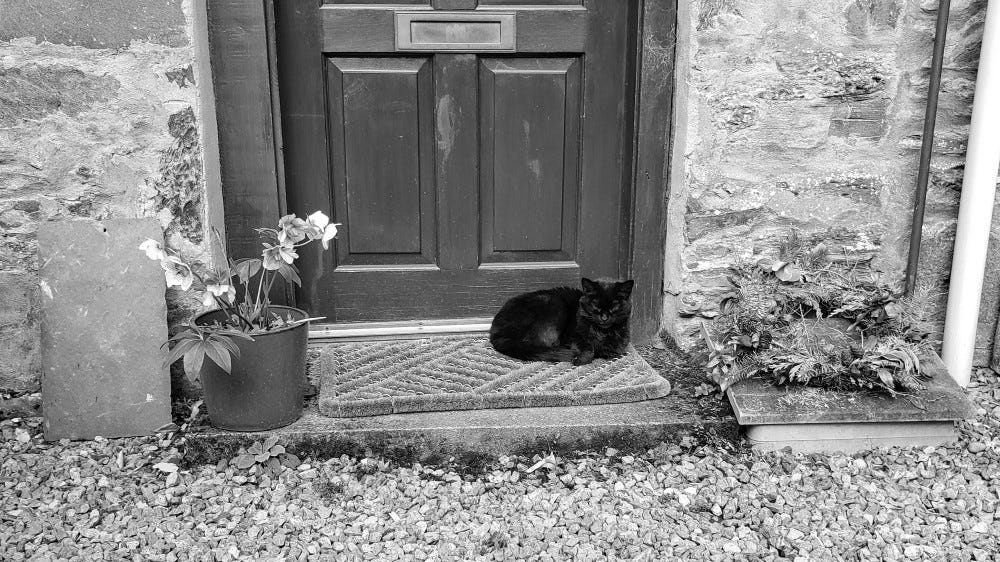 A black cat curled up napping on a doorstep in the sun
