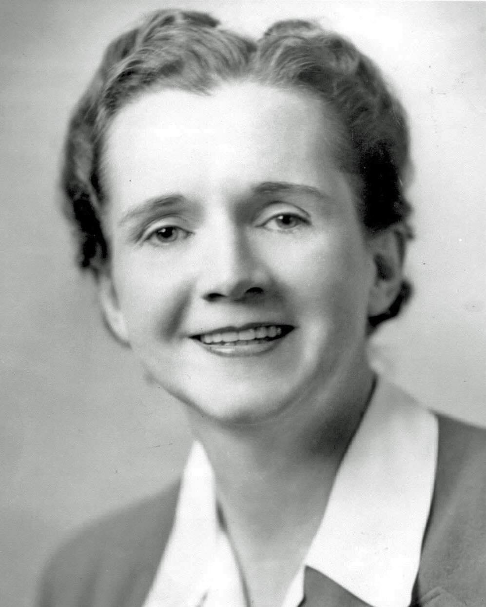 Rachel Carson,  U.S. Fish and Wildlife Service, 1940