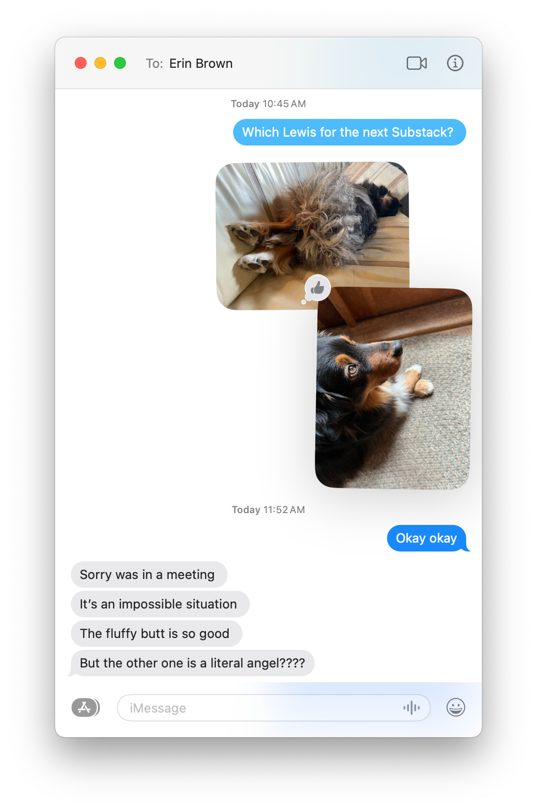 An iMessage conversation on an iPhone with a contact named Erin Brown. The sender asks which photo should be featured in the next Substack post. Erin responds after a delay, humorously expressing the difficulty of choosing because one photo has a fluffy butt and the other looks like a literal angel.