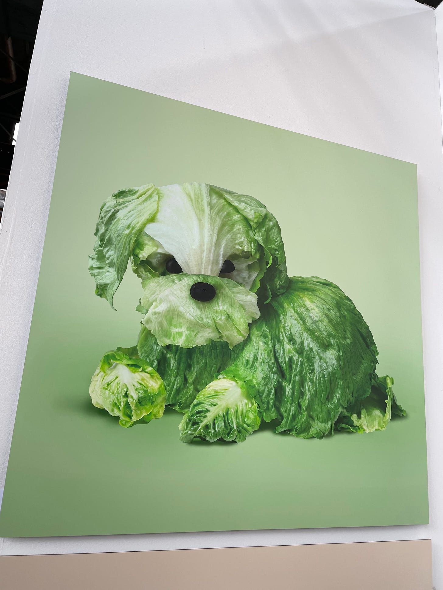 photo of lettuce shaped like a dog