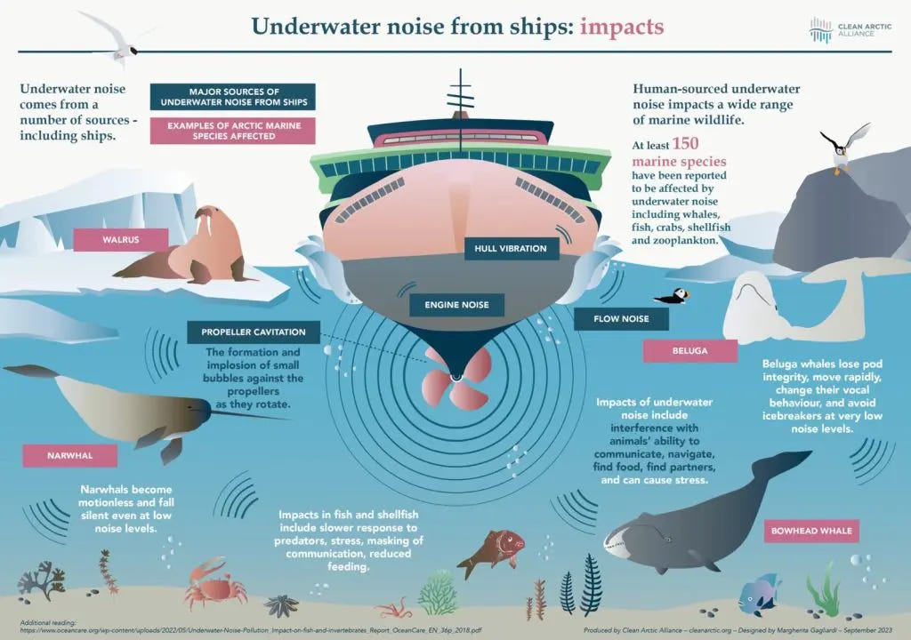 IMO must reduce underwater noise by transitioning to cleaner ships, says  NGOs - Maritime Fairtrade