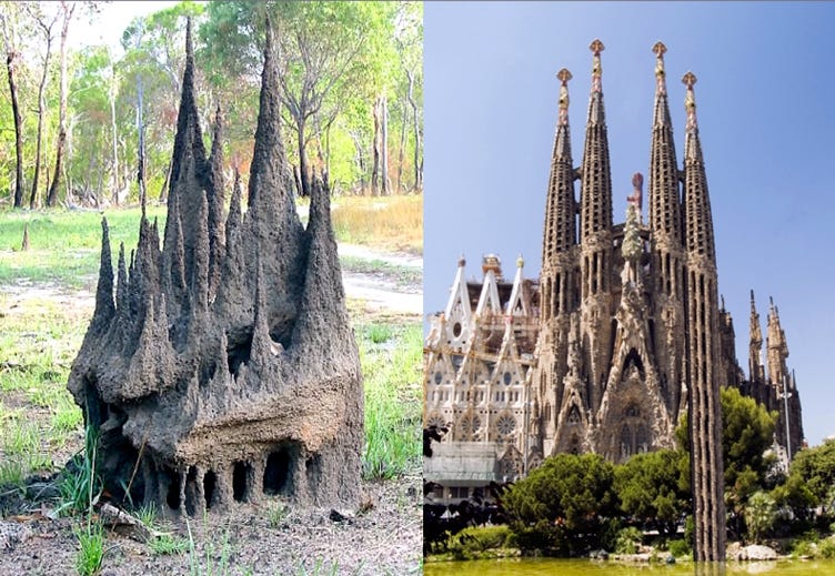 TermitesVsGaudi