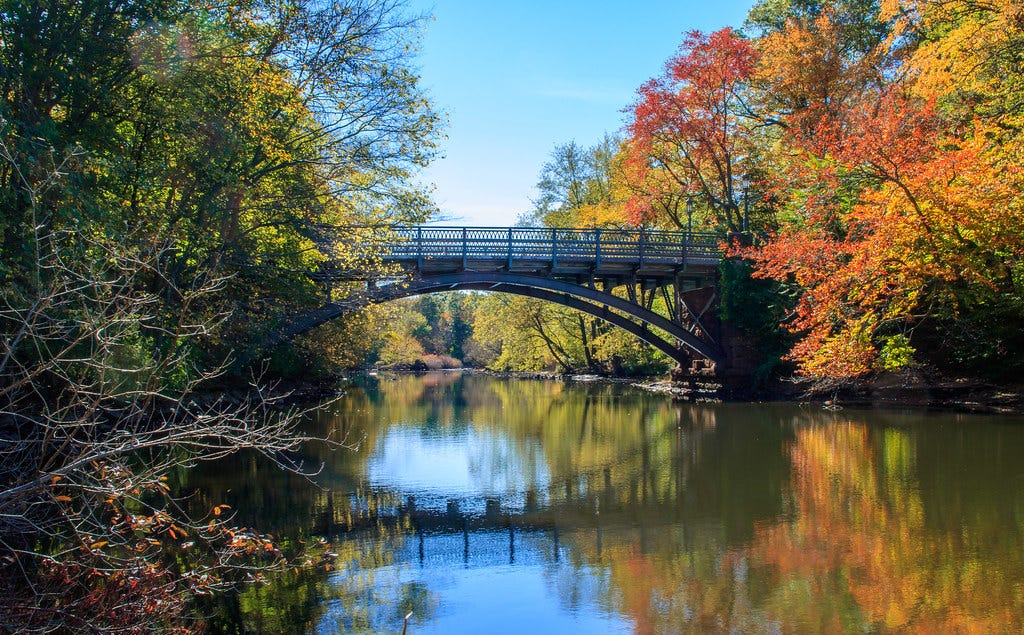 Autumn in East Rock Park, New Haven, CT | Jennifer Yakey-Ault | Flickr