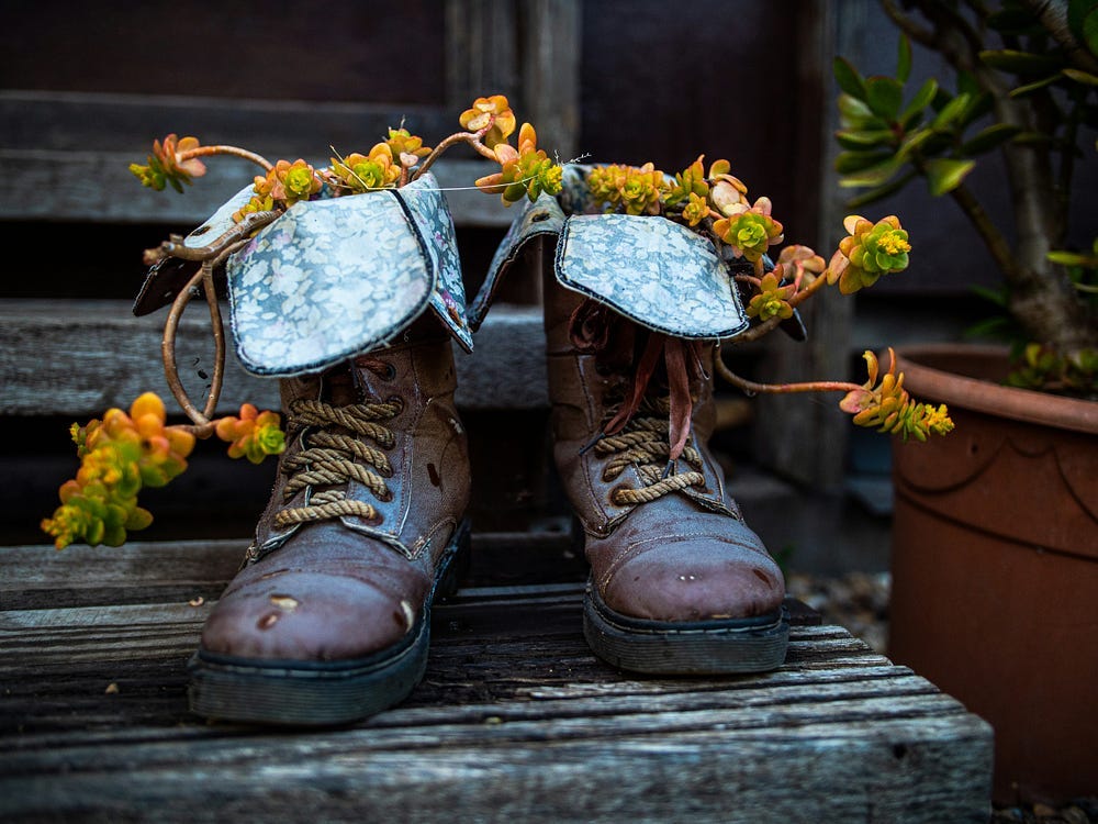 A pair of old, beaten-up boots that have been repurposed to hold two plants. They are sitting on a wooden outdoor staircase.