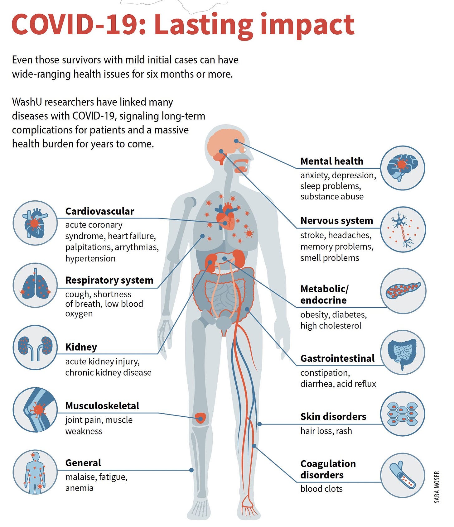 Image an infograph of how COVID can harm every organ in the body, from the brain to the heart to the kidneys, as well as cause blood clotting