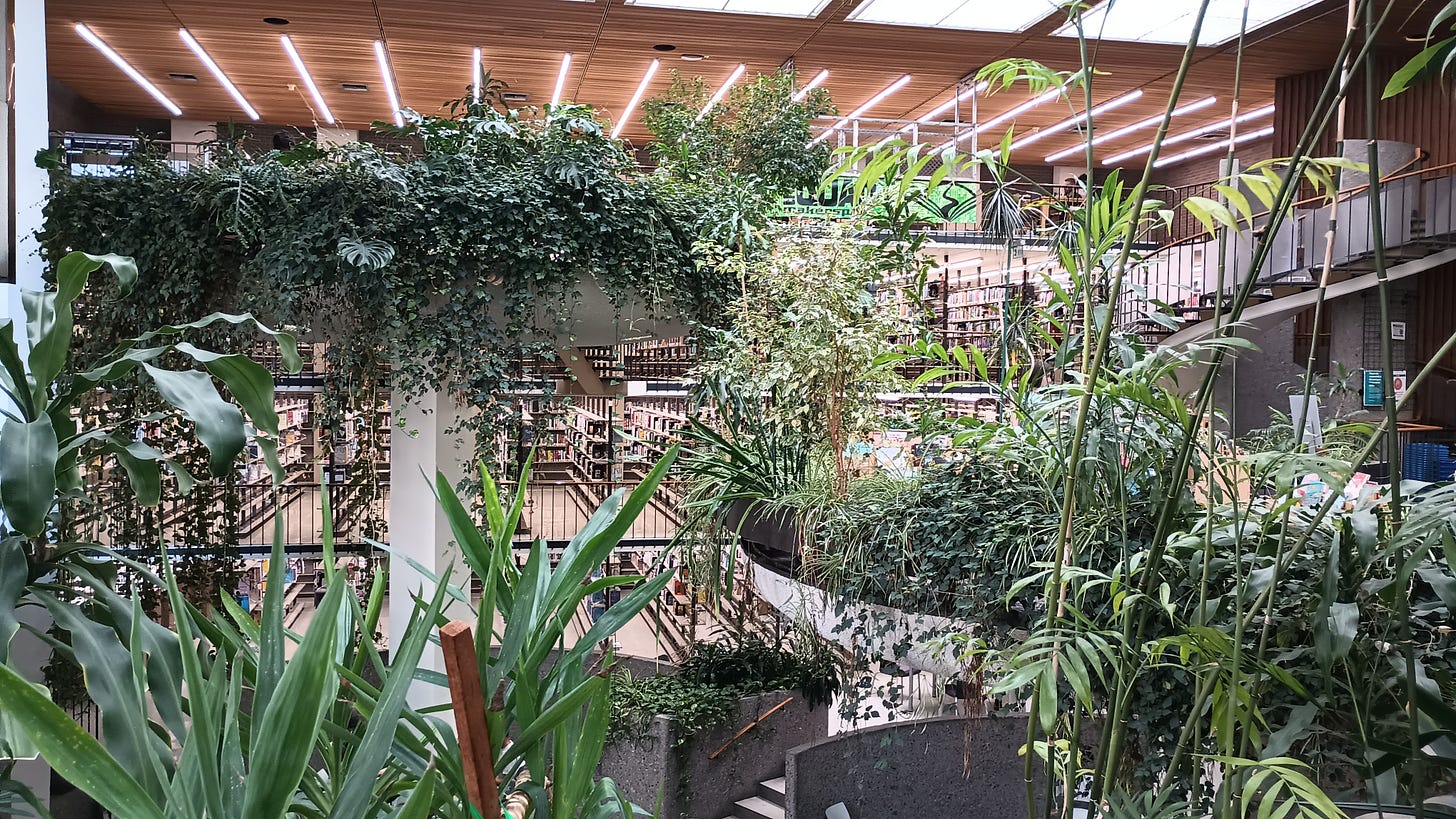 photo filled with plants hanging down four stories across the library