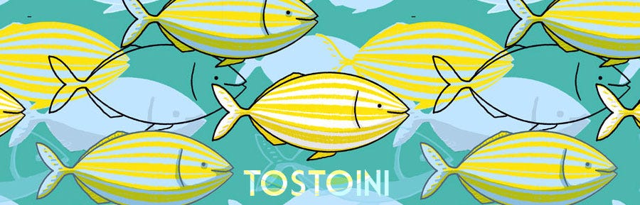 newsletter tostoina www.tostoini.it