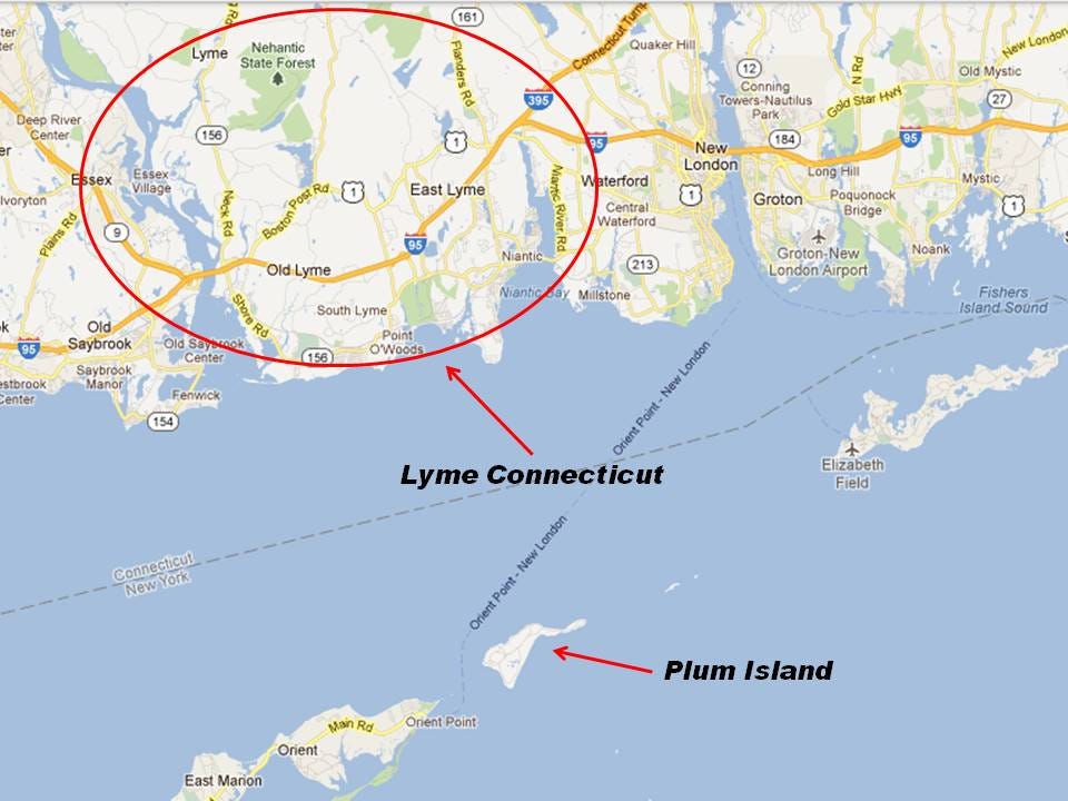 the Plum Island - Lyme Connecticut connection - Johnny Cirucci