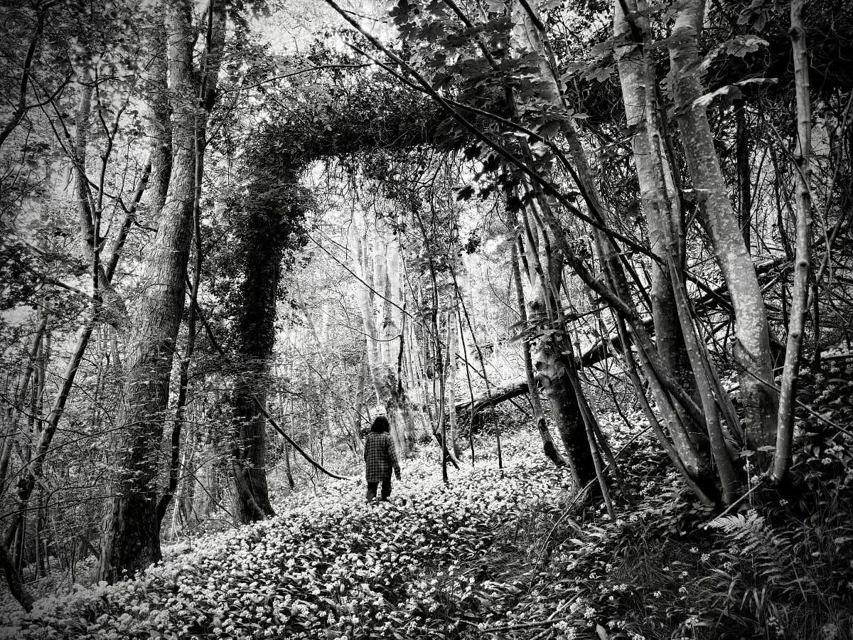 A young girl explores a wood while walking through a broken tree that looks like a doorway